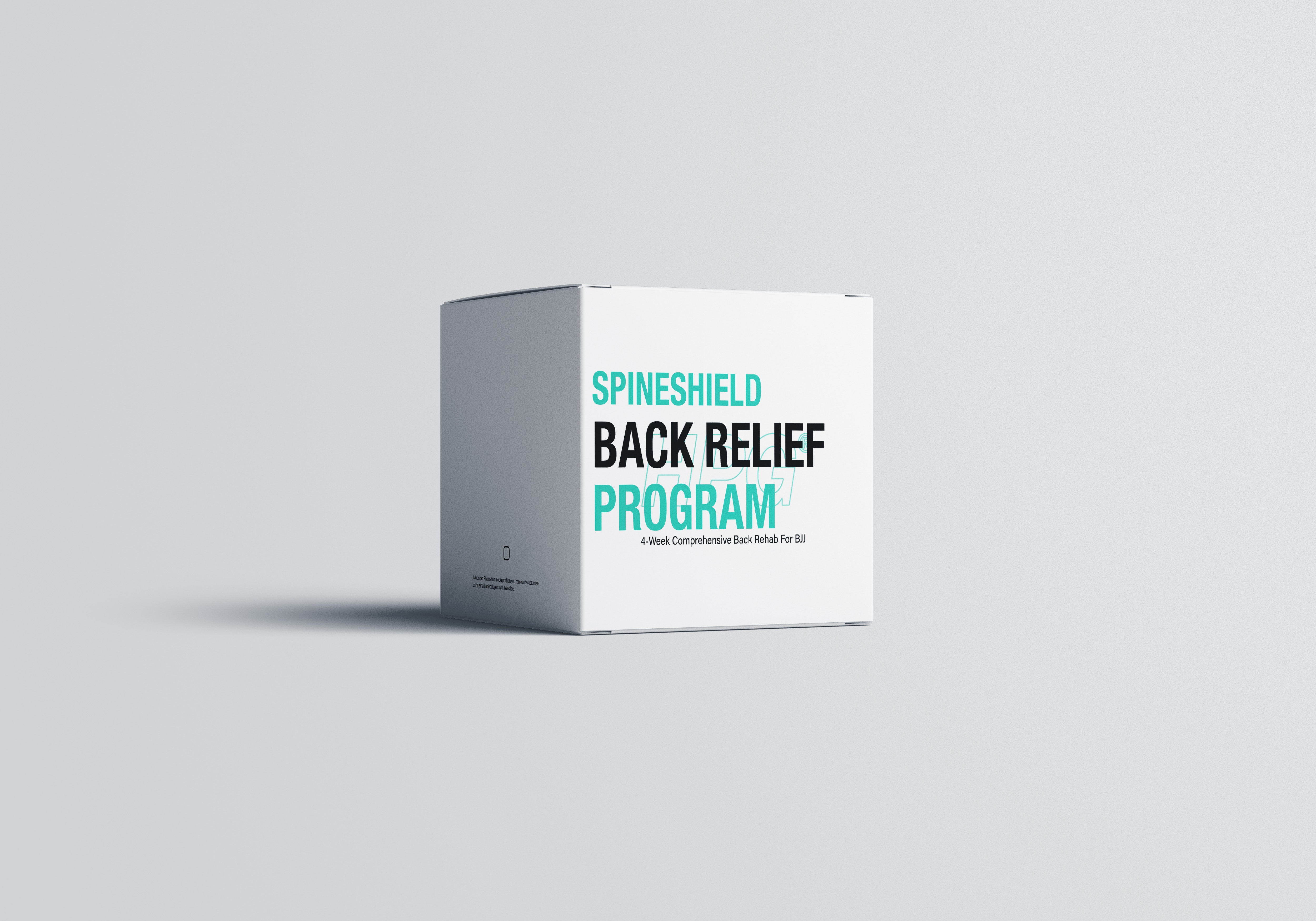 SpineShield - BJJ Back Rehab Program